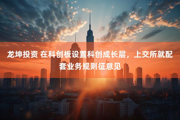 龙坤投资 在科创板设置科创成长层，上交所就配套业务规则征意见