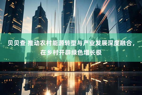 贝贝查 推动农村能源转型与产业发展深度融合，在乡村开辟绿色增长极