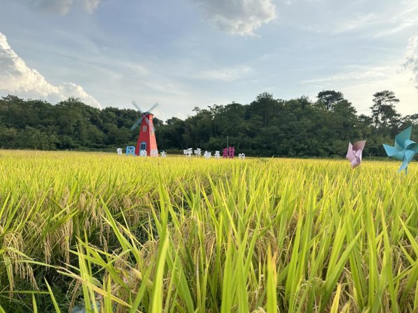第一资本 歙县郑村镇：让荒芜土地重获新生_大皖新闻 | 安徽网