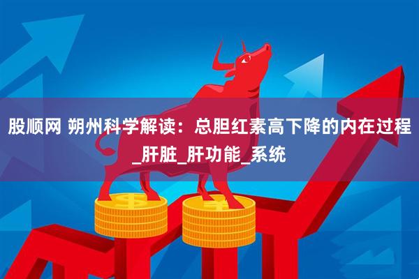 股顺网 朔州科学解读：总胆红素高下降的内在过程_肝脏_肝功能_系统