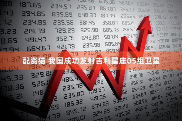 配资猫 我国成功发射吉利星座05组卫星