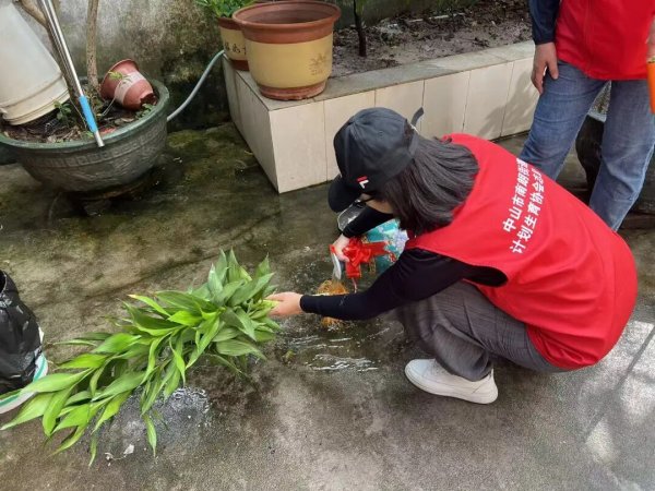 长宏网配资 中山翠亨新区（南朗街道）关塘村构建联动防控网高效推进防蚊灭蚊工作